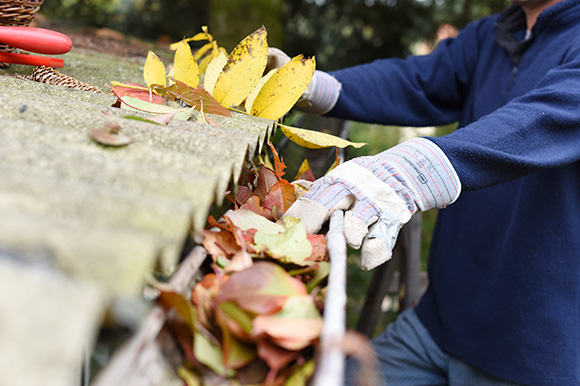 a person cleaning leaves out of a roof gutter