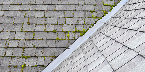 a dirty mossy roof and clean roof divided by a gutter