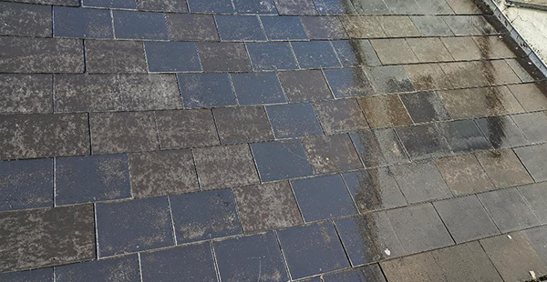 a recently cleaned roof with grey tiles